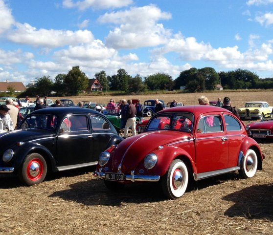 hvidsten 25-8-13.jpg